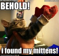funny-pictures-kitten-mittens.jpg