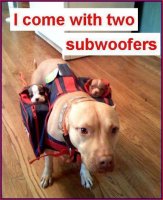 sub woofers.jpg