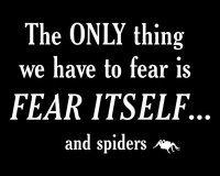 fear_itself_&_spiders.jpg