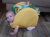 baby-taco-costume.jpg