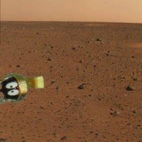 curiosity.jpg