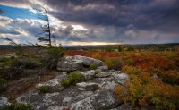 dolly sods.jpg