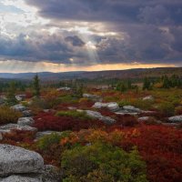 Dolly Sods 2.jpg