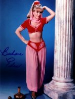 Barbara-Eden-as-Jeannie-i-dream-of-jeannie-6161331-450-597.jpg