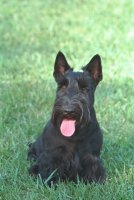 Barney Bush 3.jpg