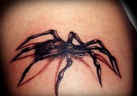 Spider 035.JPG