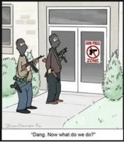 Gun Control.JPG