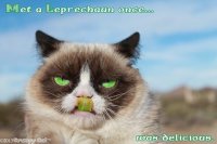 grumpy cat leprechaun.jpg