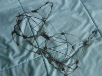 barbed wire.jpg