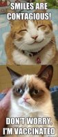 grumpy cat vaccinated.jpg