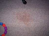 carpet stain1.jpg