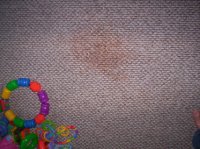 carpet stain2.jpg