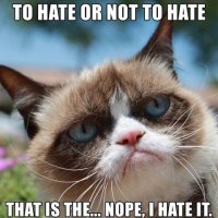 grumpy cat to hate or not to hate.jpg