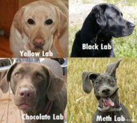methlab.jpg