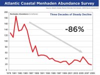 menhaden_assessment_decline_1979_2009.jpg