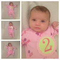 Ava, 2 Months Old.jpg