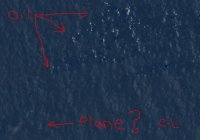 The Plane The Plane!.jpg