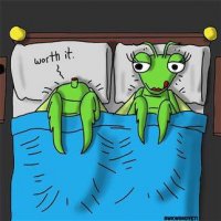 Funny-praying-mantis-cartoon.jpg