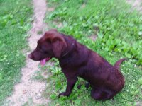 SAM_0063.jpg