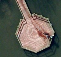 science--12-strangest-sights-on-google-maps--dead-body--4482119.jpg