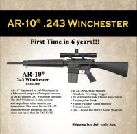 ar-10-243-no-pricing.jpg