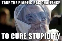 the-plastic-bag-challenge.jpg