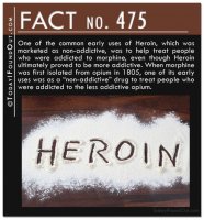 TIFO-Quick-Fact-475.jpg