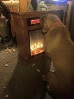 fire dog.jpg