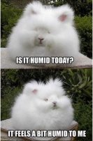 humid.jpg