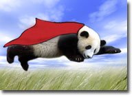 panda_flyingBACK.jpg