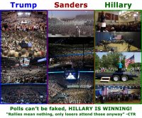 crowds.jpg