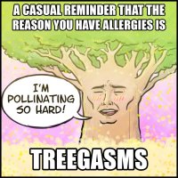 treegasms.jpg