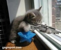 kitty_sniper_png.jpg