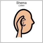 Shema-copy1.jpg