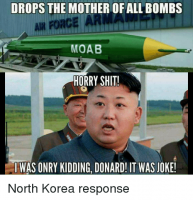 drops-the-mother-of-all-bombs-moab-horry-crap-i-18953947.png