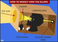 eclipse viewing.jpg