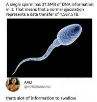 DNA.jpg