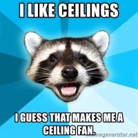 pun ceiling fan.jpg