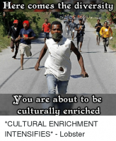 here-comes-the-diversity-you-are-about-to-be-culturally-1624066.png