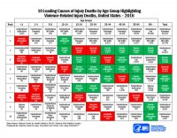 leading_causes_of_death_highlighting_violence_2016_1030w800h.jpg