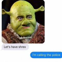 pun shrek.jpg