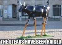 the-steaks-have-been-raised.jpg