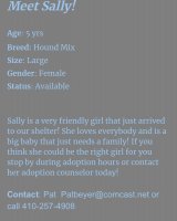 Pet-Sally2.jpg