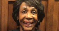 maxine.jpg