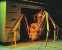 norris-spider-maniacs3-2000[1].jpg