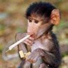 monkey_with_joint[2].jpg
