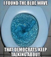 2018_05-27-blue-wave-toilet-meme-e1527426998624.jpg