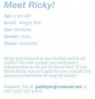 Pet-Ricky2.jpg