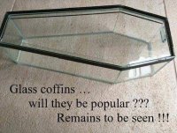 Glass Coffin.jpg