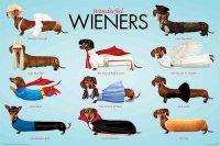 animal-dogs-wieners-wonderful-costumes-poster-AQU241105.jpg